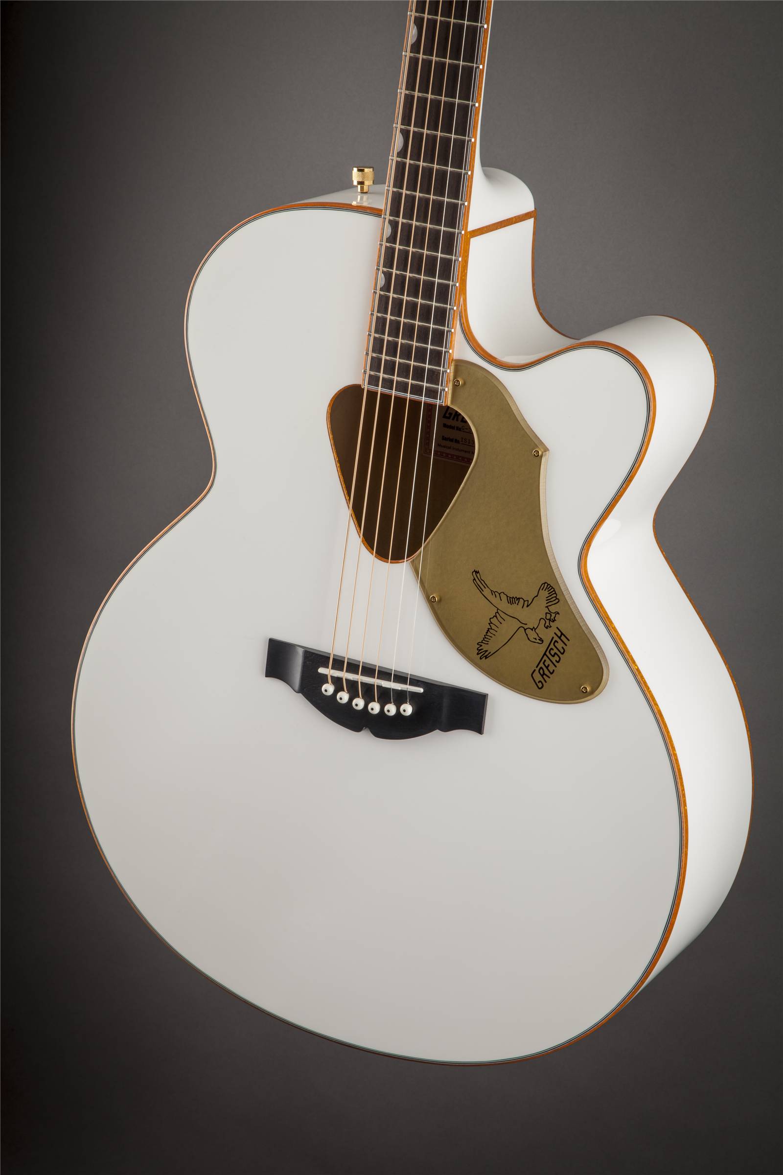 G5022CWFE Rancher™ Falcon™ Acoustic / Electric